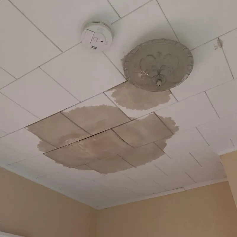 Ceiling Water Damage Repair in City of Saint Louis, MO