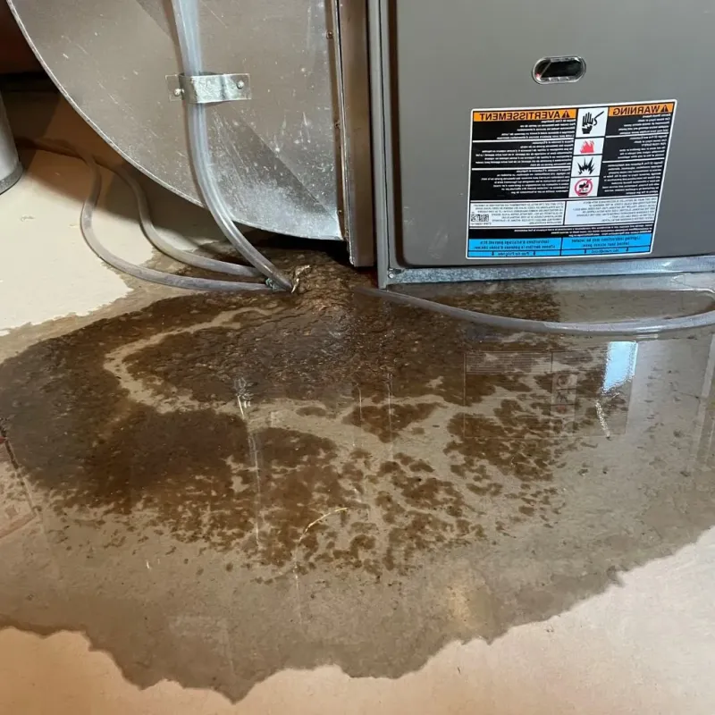 Pipe Burst and Leak Restoration in City of Saint Louis, MO